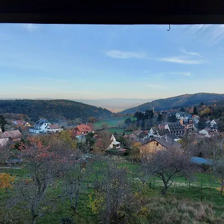 Apartment Au Gre Des Saisons Thannenkirch